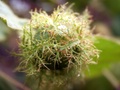pict0277.jpg