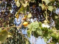 pict0279.jpg