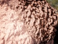 pict0310.jpg